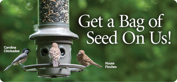 Get a Bag of Seed On Us!
